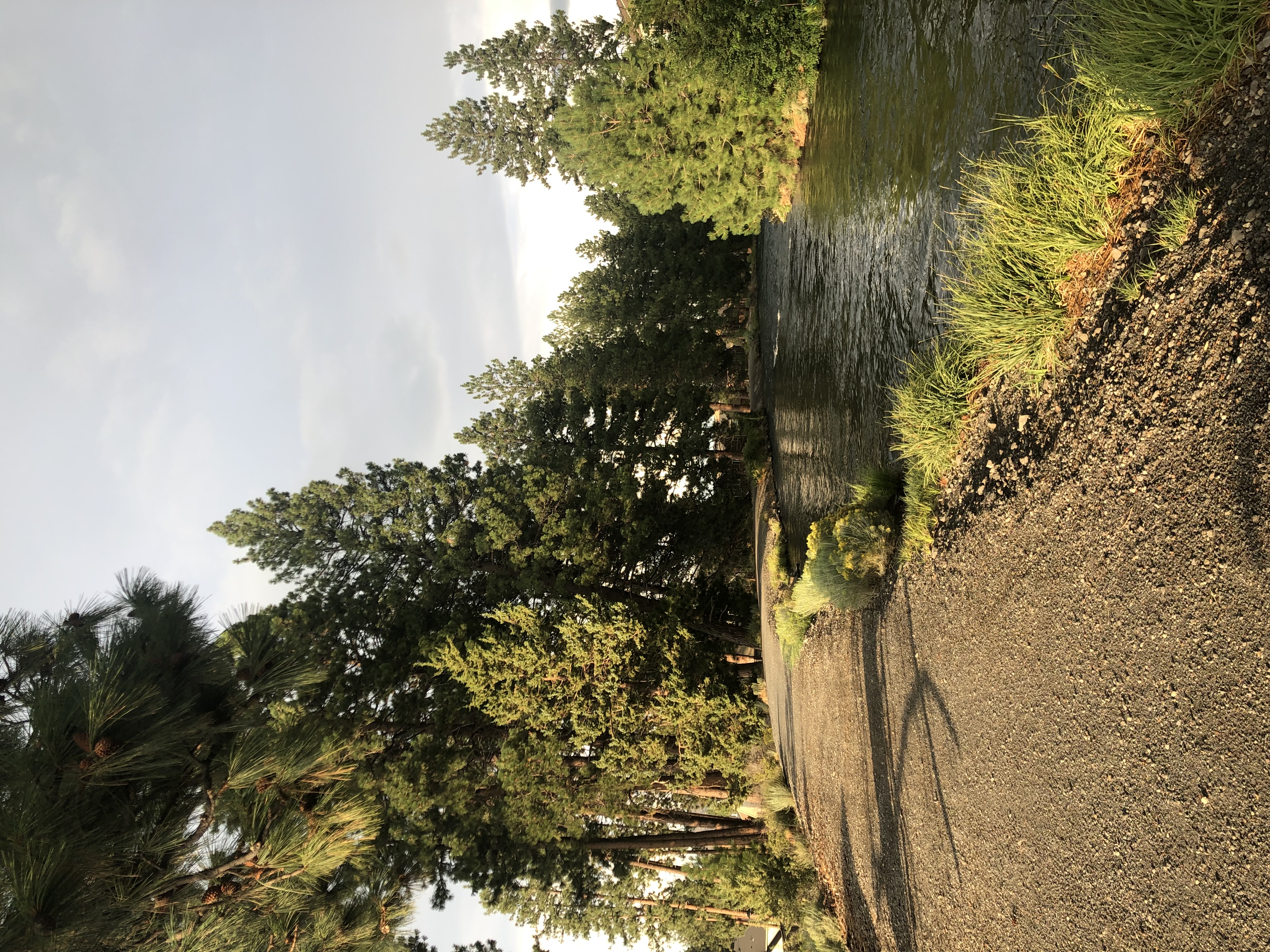 Deschutes Canal Trail — steps from River & Dale